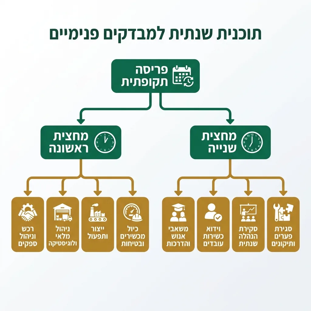 אינפוגרפיקה — תוכנית שנתית למבדקים פנימיים: פריסה תקופתית